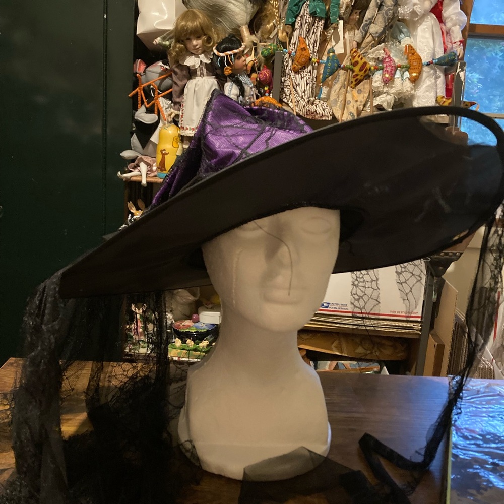 Fun World black and purple witches/spider hat and wig